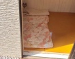 豚から〝とんでもないモノ〟奪った犬に2.8万人爆笑　「比喩かと思ったら...」「でっかぁい」