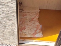 豚から〝とんでもないモノ〟奪った犬に2.8万人爆笑　「比喩かと思ったら...」「でっかぁい」