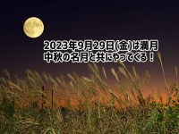 9月29日(金)は満月！中秋の名月と重なり絶好の月見日和に！