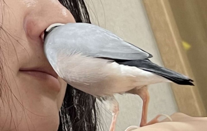 心を無にして...