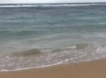 「魚を返せ！」　釣り竿を追って海の中から〇〇〇が猛スピードで登場