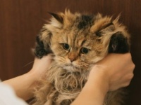 女子が語る！　「○○好きに悪い人はいない」説・5選