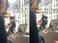 自分だけきれいになろうとすな！ママンにお化粧をさせる猫
