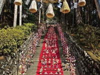 「素盞鳴神社雛段飾り」の様子（画像はプレスリリースより）
