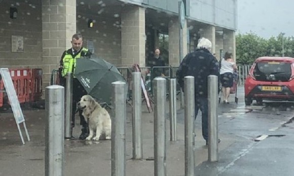 雨の中、飼い主を外で待つ犬に傘を差しかけ続けた警備員（イギリス）