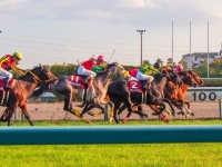 ​さんまからもらったお年玉1万円を競馬にかけて120万円に
