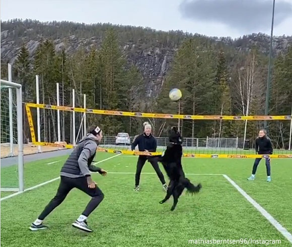 ちゃんとトスあげてるやん！犬と一緒にバレーボールがプレイできるってすごい！