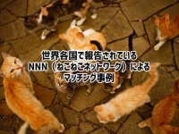 人間が猫を選ぶのではない。猫が飼い主を選んでいるのだ。しているのだ。世界のNNN活動報告事例