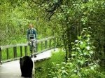 緊迫の状況…！　森の中の遊歩道にてクマに遭遇してしまう。