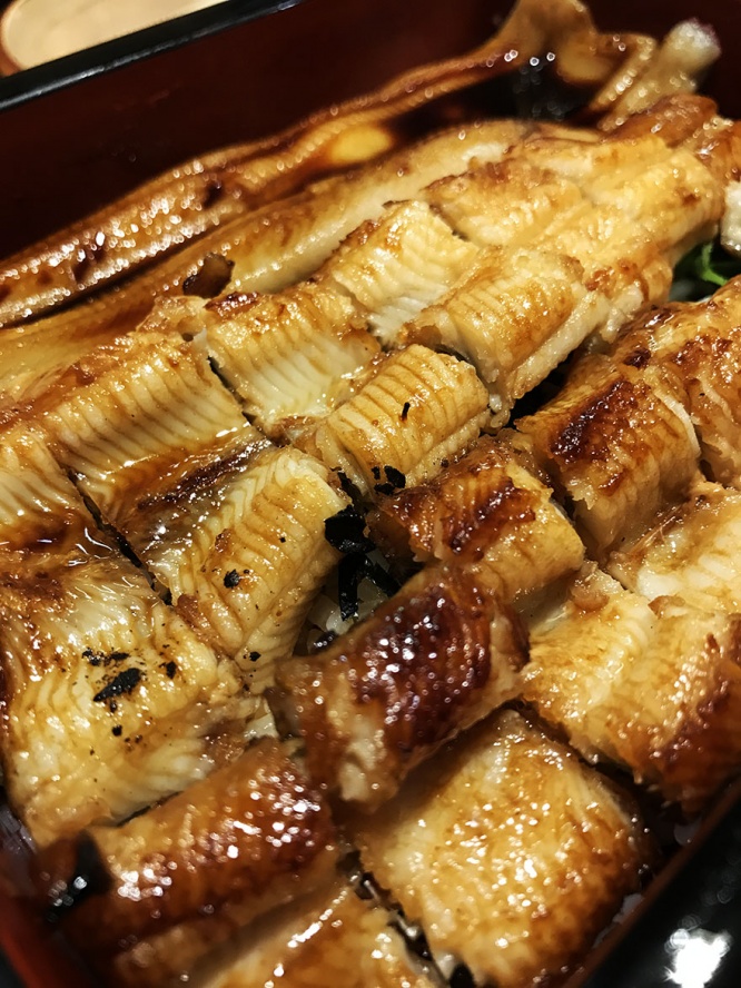 anago-hirai1