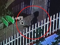 こ、これは！？尻尾を持つ人間の子供のような影が走り回っている姿が監視カメラにとらえられる
