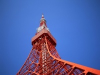 【祝・成人の日】今日だけ！　“新成人”は東京タワーに入場無料!!