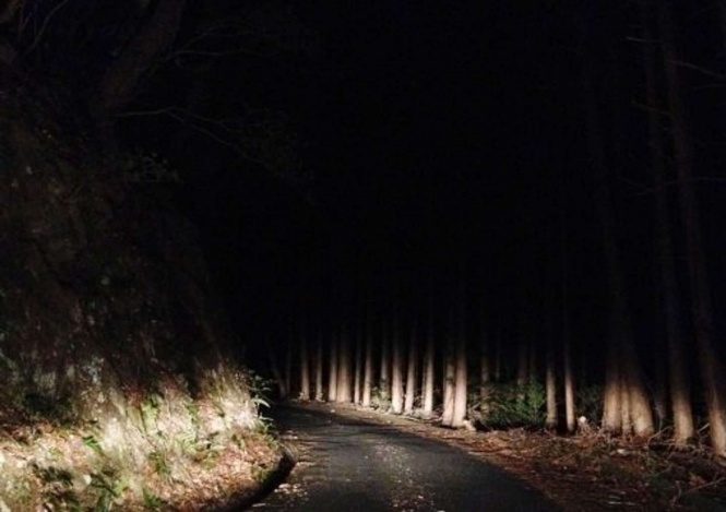 真夜中の山道を降りていると...(画像はイメージ)