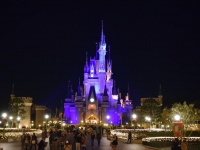 ディズニーファン感激