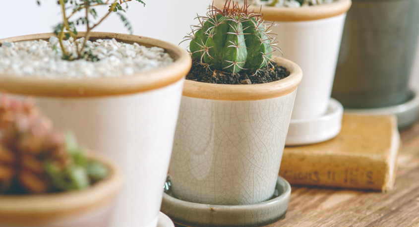 有限会社ポッシュリビングのプレスリリース画像