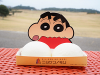 株式会社ニジゲンノモリのプレスリリース画像