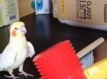 ピコピコハンマー叩いてみた。