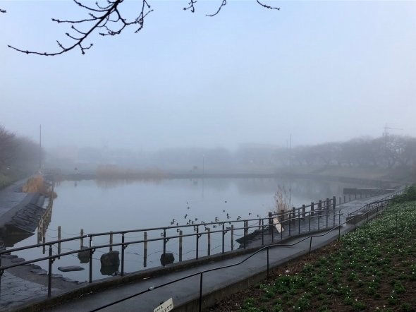 池にも靄がかかってただならぬ雰囲気に（矢澤こころ(＠amzn4545)さんのツイートより）