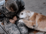 兵役で３ヶ月家を離れていた飼い主さんに再会した１３歳の高齢犬の様子に心温まる