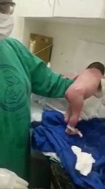生まれて数分で歩行