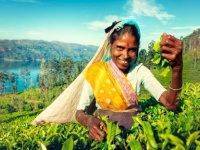 株式会社味とサイエンスのプレスリリース画像