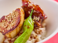 ブライトンホテルズのプレスリリース画像