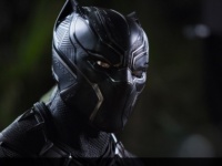 『ブラックパンサー』効果で黒猫の引き取り手が急増