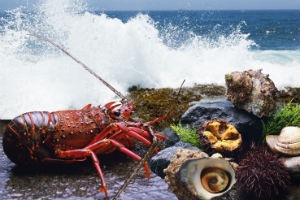 波平の秘密結社「T・T・K」、タラちゃんに妹が......。磯野家の知られざる謎とは？