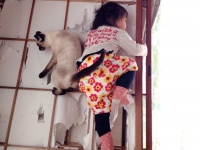 猫ちゃんのしっぽが優しい...（さきさんのツイートより）