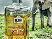 珍酒好きなあなたに。象の糞が原料、大地の芳香が味わえる蒸留酒「ジン」が販売中（南アフリカ）