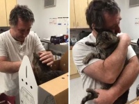 行方不明になった猫と奇跡的に再会した飼い主たちのそれぞれの物語