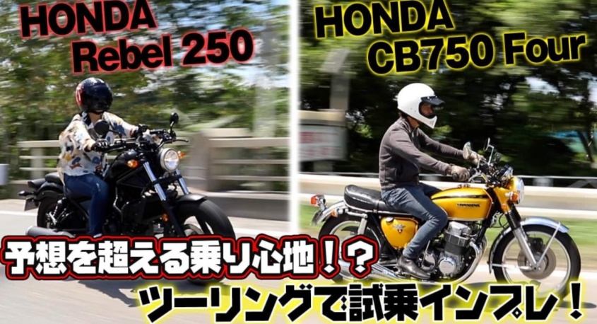 株式会社モルフォのプレスリリース画像