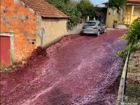 ポルトガルで赤ワインの大洪水。220万リットルが流出し村を赤く染める