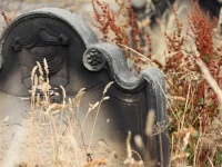 口の中に小鳥を詰められ洞窟に埋葬された300年前の少女の謎