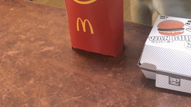 可愛すぎる〝マッククルー〟に2.1万人メロメロ　「毎日通います」「もーマックに住み着いちゃうかも」