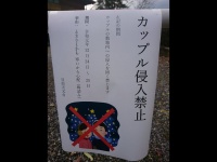 なんだと...（画像は日原天文台から）