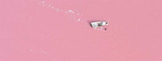 イチゴミルク色の誘惑、ピンク色に染まるレトバ湖「ラック・ローズ」