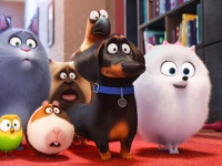 ふわふわポメラニアンのリーダーシップに全員敬礼！？　映画『ペット』より可愛すぎる本編映像到着