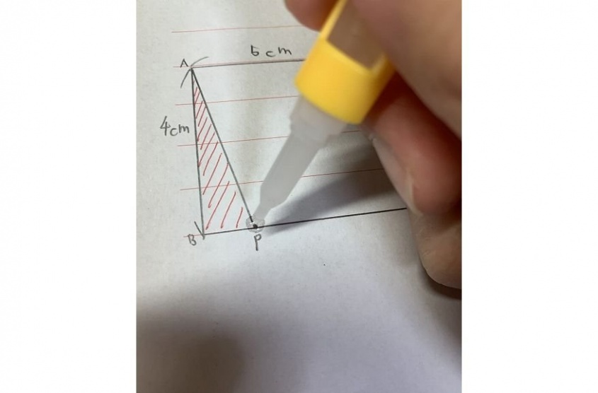 （画像はelaiza（elaiza_tyutyu