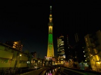 Photo by Yoshikazu TAKADA（写真はイメージです）