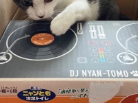 DJ 　NYANCOのノリノリスクラッチにSNS大喝采　「バイブス上げてくぜー！」「盛り上がってるにゃんかーー！？」