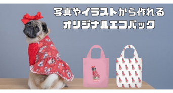 株式会社イデビュのプレスリリース画像