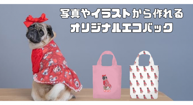 株式会社イデビュのプレスリリース画像