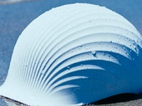 強くて、かわいくて、環境にも優しい。　廃棄されてた「ホタテの貝殻」で作ったヘルメットが最高かも