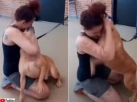 施設で犬を引き取ろうとしたところ、2年前に行方不明になっていた愛犬と再会。再び家族に