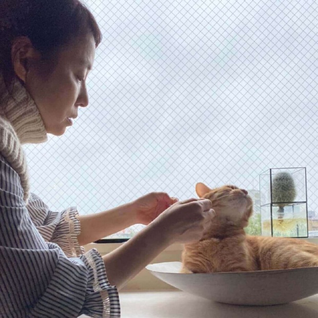 石田ゆり子、「白漆の大皿」愛猫に明け渡す幸福な光景に大反響
