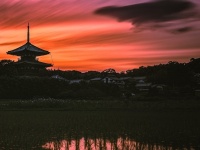 異界と交わってしまいそう...　「逢魔が刻」の奈良の古刹が、怖いくらいに美しい