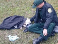 車にひかれてしまった犬の隣に座り、救急部隊がくるまで言葉をかけながら励まし続けていた警官の姿（アメリカ）