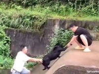 川に落ちた犬を助けたらまさかの展開が待っていた。悲劇が喜劇に変わる瞬間