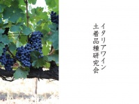 株式会社 Vino Hayashiのプレスリリース画像